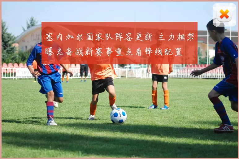 塞内加尔国家队阵容更新 主力框架曝光备战新赛事重点看锋线配置