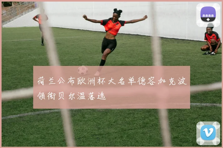 荷兰公布欧洲杯大名单德容加克波领衔贝尔温落选