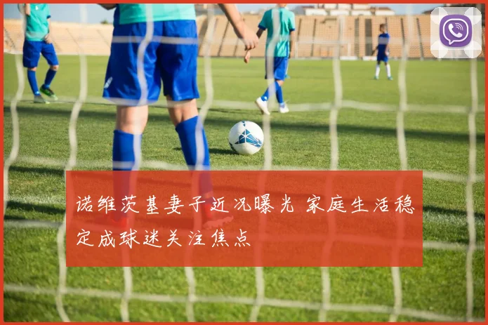 诺维茨基妻子近况曝光 家庭生活稳定成球迷关注焦点