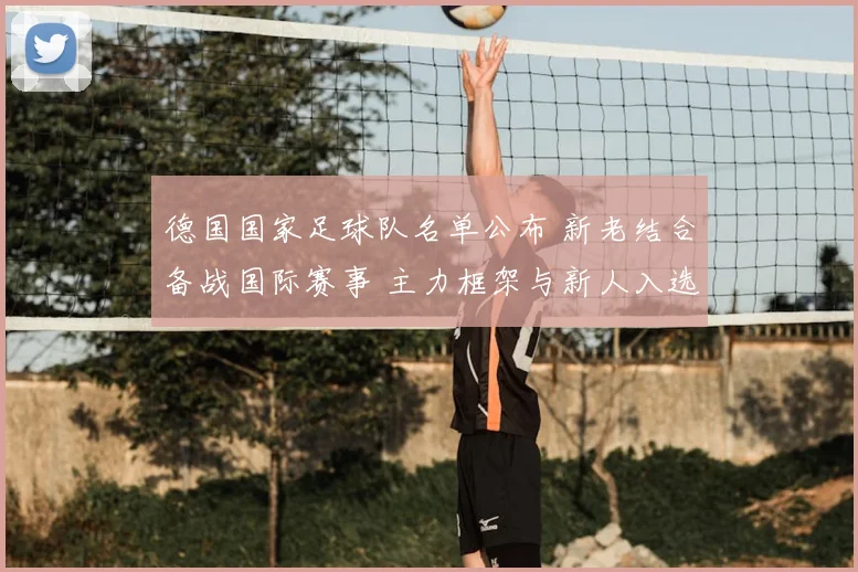 德国国家足球队名单公布 新老结合备战国际赛事 主力框架与新人入选成看点
