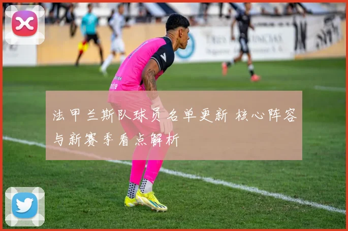 法甲兰斯队球员名单更新 核心阵容与新赛季看点解析