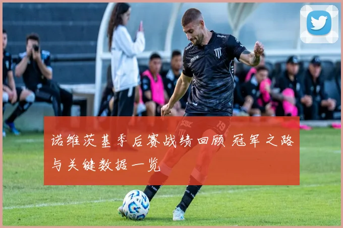 诺维茨基季后赛战绩回顾 冠军之路与关键数据一览