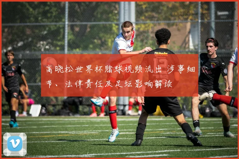 高晓松世界杯赌球视频流出 涉事细节、法律责任及足坛影响解读