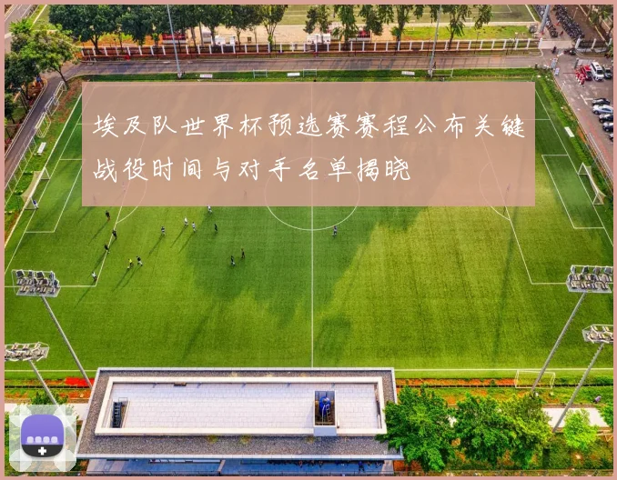 埃及队世界杯预选赛赛程公布关键战役时间与对手名单揭晓