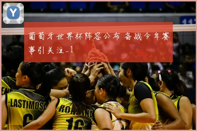 葡萄牙世界杯阵容公布 备战今年赛事引关注_1