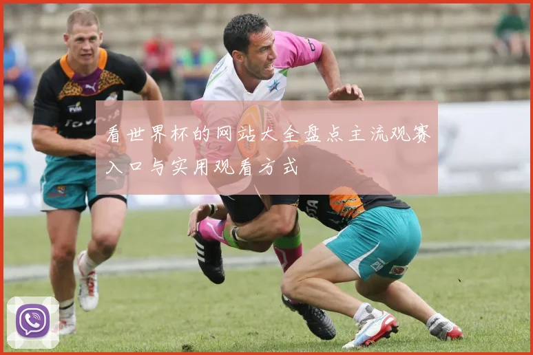 看世界杯的网站大全盘点主流观赛入口与实用观看方式