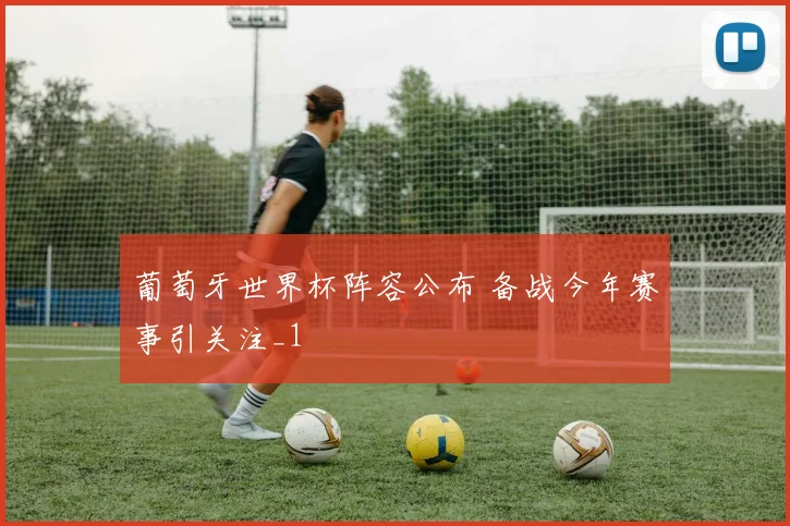 葡萄牙世界杯阵容公布 备战今年赛事引关注_1