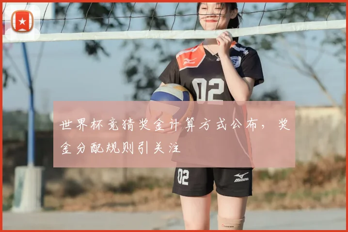 世界杯竞猜奖金计算方式公布，奖金分配规则引关注